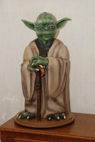 YODA net.jpg