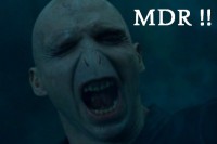 voldemort-est-content_462.jpg