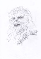 chewie 3.jpg