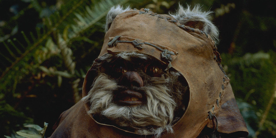 https://www.starwars-universe.com/images/actualites/disneylogie/wicket.jpeg