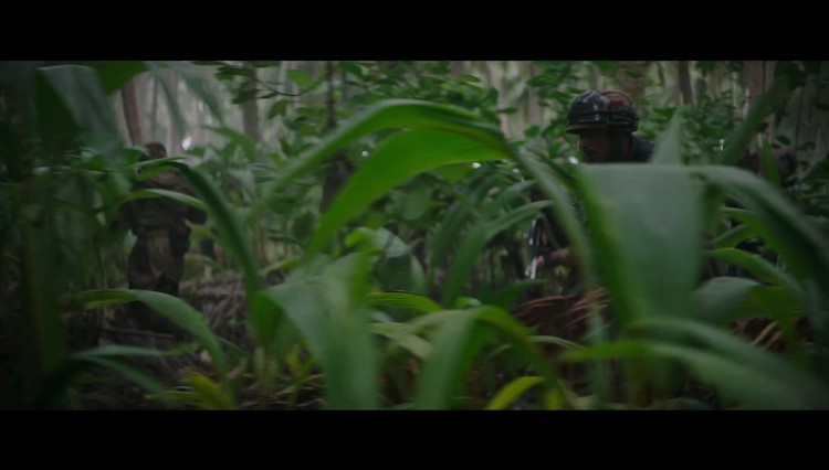 https://www.starwars-universe.com/images/actualites/rogueone/trailer2/vlcsnap-2016-10-13-18h30m43s449.jpg