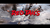 red-tails- 03