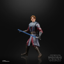 anakin-05.jpg