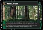Forests of Endor