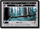 Endor Great Forest