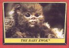 Baby Ewok