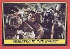 Observed by the Ewoks