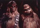 Chewie et sa petite famille
