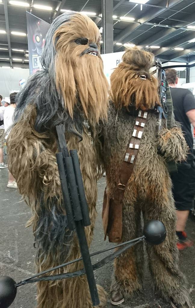 Délégation Wookiee