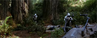 Endor