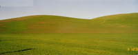 Collines dans le comté de Marin