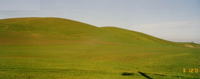 Collines dans le comté de Marin